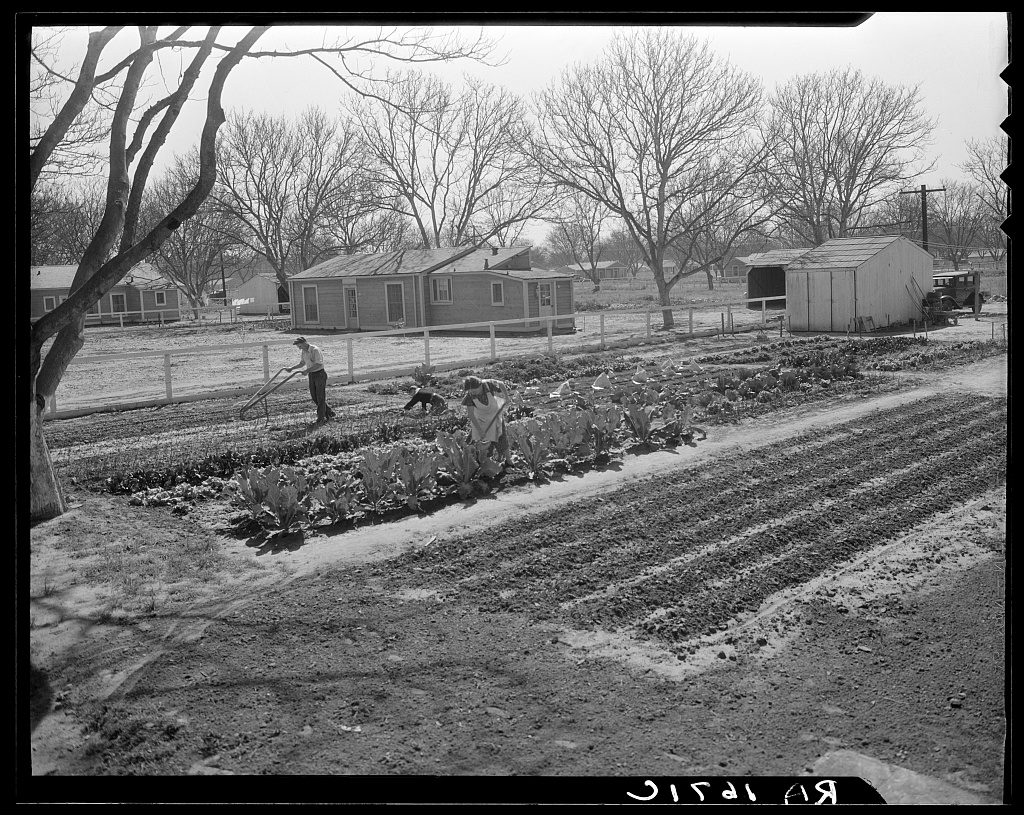 Subsistence Homesteads