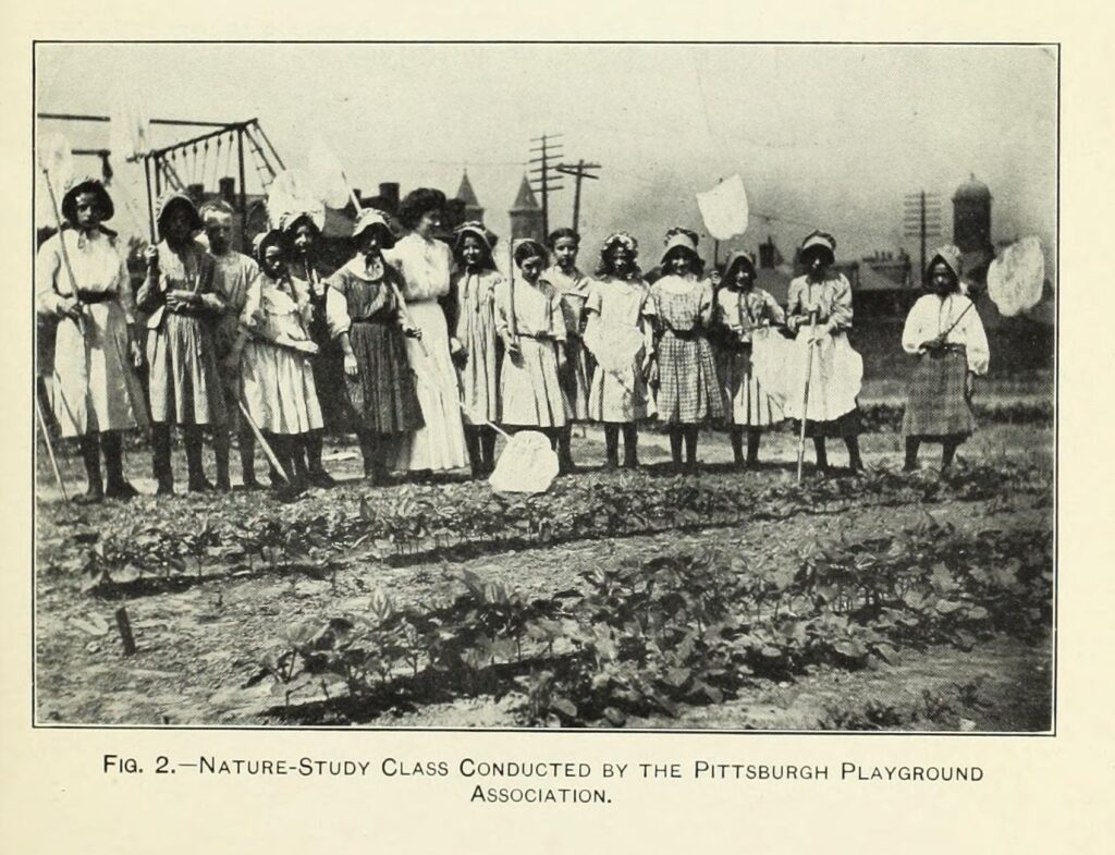 The School Garden