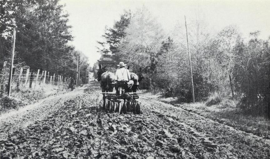The Dirt Roads of Rural America